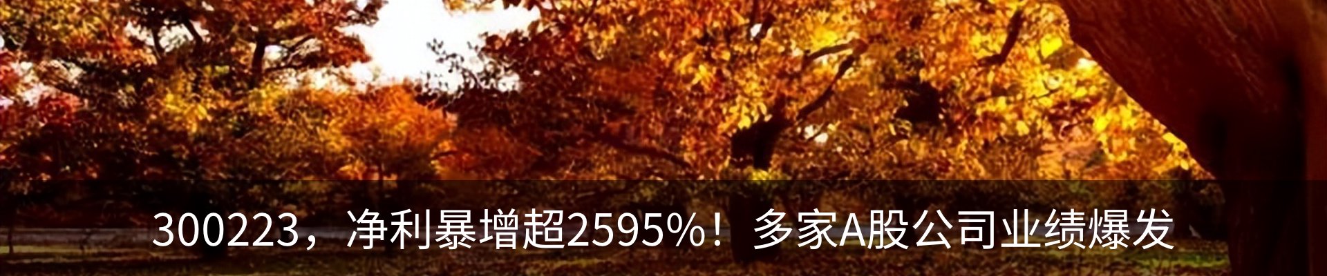 资讯中心